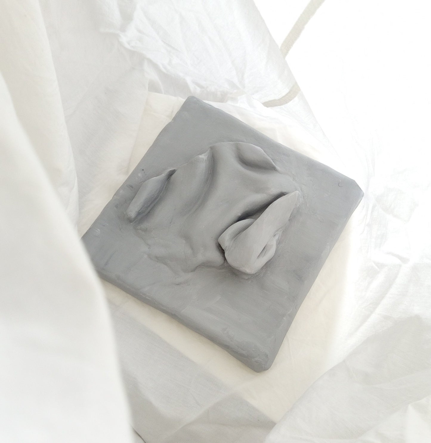 Comfort Zone Mini #02